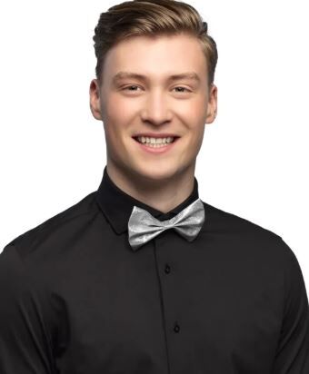 Bow tie Glitter silver
