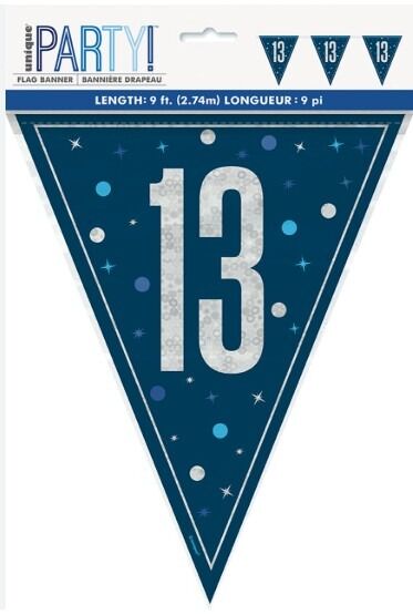 13th Blue Glitz Bunting